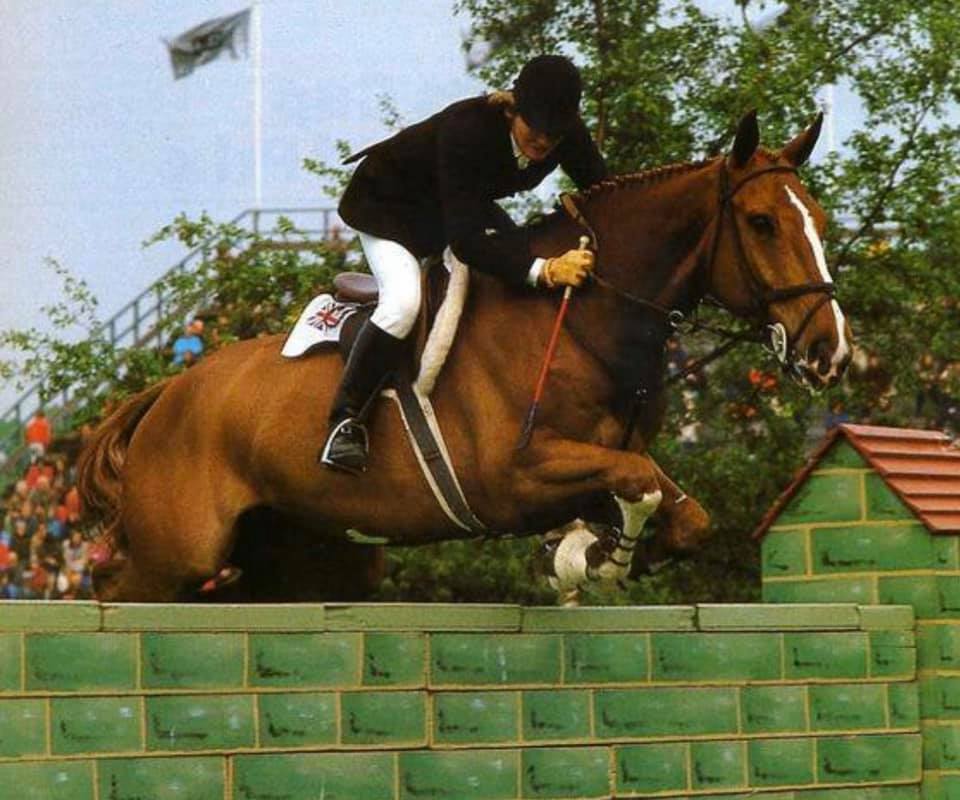 Liz Edgar - Showjumping